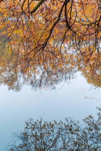 Colorido parque de otoño. Árboles de otoño con hojas amarillas en el parque de otoño. Belgorod. Rusia . — Foto de Stock