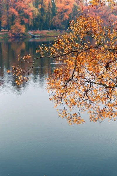 Bunter Herbstpark. Herbstbäume mit gelben Blättern im Herbstpark. Belgorod. Russland. — Stockfoto