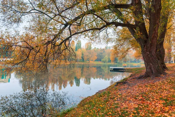 Renkli sonbahar parkı. Sonbahar parkında yaprakları sarı olan sonbahar ağaçları. Belgorod. Rusya.
