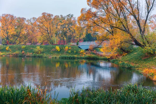 Barevný podzimní park. Podzimní stromy se žlutými listy v podzimním parku. Belgorod. Rusko. — Stock fotografie