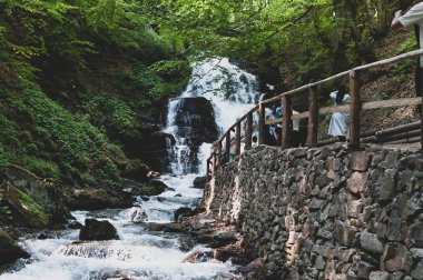 Pilipets, Ukrayna, Shipot şelalesi, 05.06.2018: ormandaki kayalar, taşlar ve yeşil ağaçlar arasında dağ nehri ve şelale