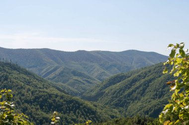 Yüksek açılı manzaralı mavi gökyüzü, yüksek dağlar ve yeşil ağaçlarla kaplı vadi.