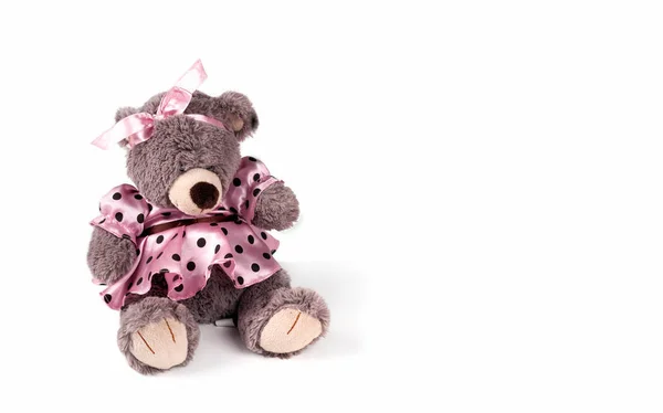 Brown Plush Furry Teddy Bear Toy Pink Dress Polka Dot — Stockfoto