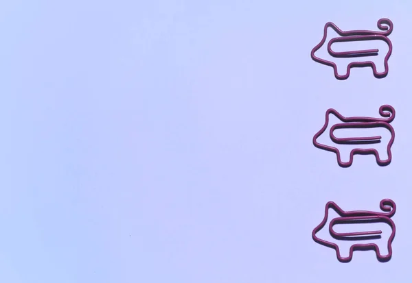 Вид Зверху Вертикальної Лінії Рожевими Затискачами Паперу Свиней Бузковому Фоні — стокове фото