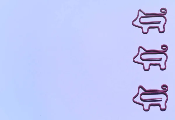 Вид Зверху Вертикальної Лінії Рожевими Затискачами Паперу Свиней Бузковому Фоні — стокове фото