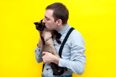 Mavi gömlekli yakışıklı adam sarı arka planda siam kahvesine sarılıp öpüyor.