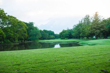Şehir Parkı yeşil ağaç sahne