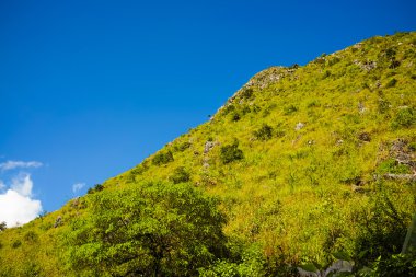Mavi gökyüzü ile yeşil alt Alp dağ