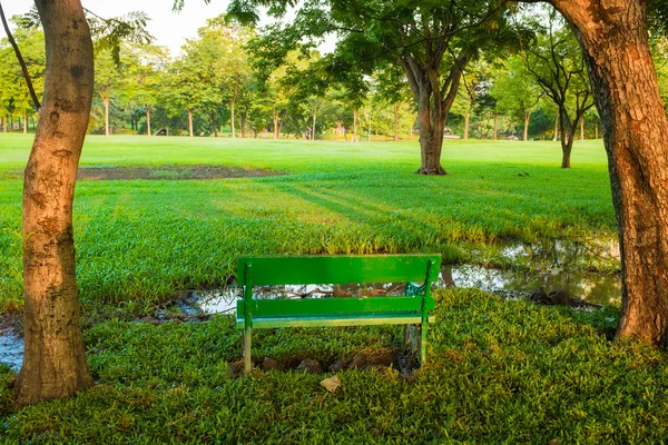 Sunset at green city public park with bench