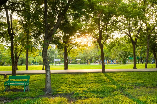 Grönt gräs fält med träd i stadsparken — Stockfoto