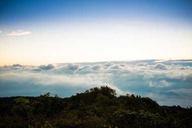 Doğa Manzaralı yeşil en yüksek Dağları