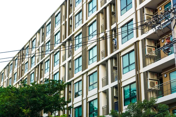 Window of apartment building with tree — Stock Photo, Image