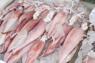 Buz pazarda taze kalamar 