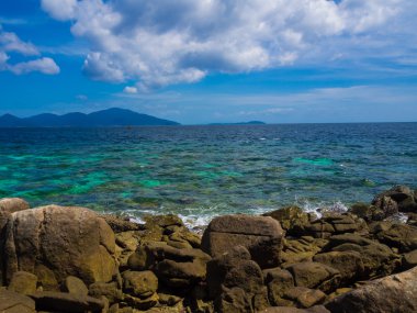 Doğal manzara vahşi doğa tropik ada 