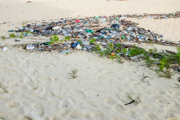 Загрязнение Мусора Пляже Тропического Моря — стоковое фото