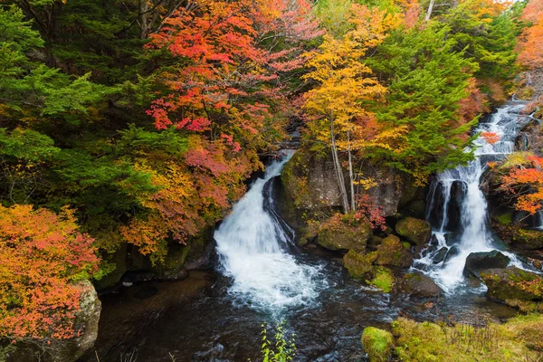 Colores otoñales y cascada Ryuzu — Foto de Stock