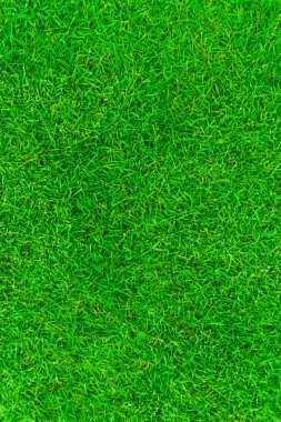 Güzel taze çok yeşil çim doku süslemek arka plan