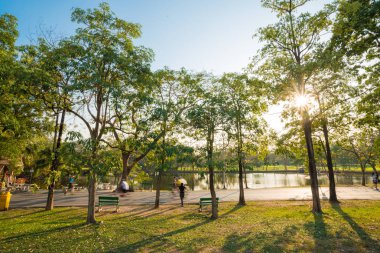 Güzel yaz central park mavi gökyüzü ile