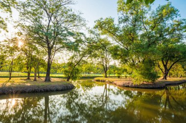 Mavi gökyüzü günbatımı su birikintisi arka plan ile altında bir Şehir Parkı