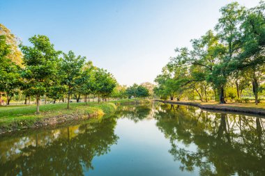 Mavi gökyüzü günbatımı su birikintisi arka plan ile altında bir Şehir Parkı