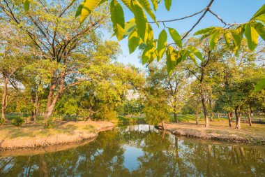 Mavi gökyüzü günbatımı su birikintisi arka plan ile altında bir Şehir Parkı