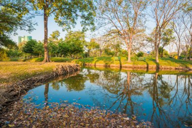 Mavi gökyüzü günbatımı su birikintisi arka plan ile altında bir Şehir Parkı