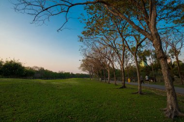 Güzel yaz central park mavi gökyüzü ile
