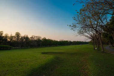 Güzel yaz central park mavi gökyüzü ile