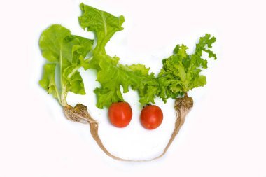 Yeşil yaprak marul yakın çekim. 