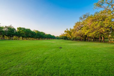 Merkezi kamu parki yeşil çim sahne 