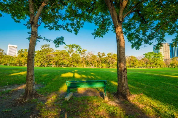 Banco de madera verde en el parque de verano — Foto de Stock