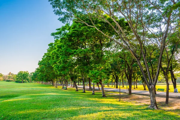 Central parque público verde cena grama — Fotografia de Stock