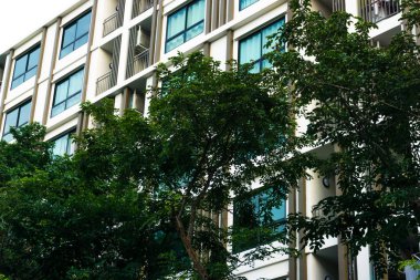 Modern ve şık daire Emlak alçak