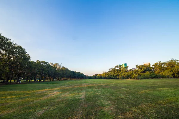 Летний Пейзаж Заката Деревьями Зеленой Травой — стоковое фото