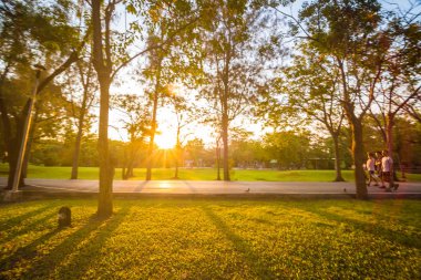 Güneşli gün ışığına genel central Park'ta