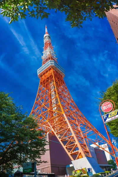 Tour Tokyo Jour Soleil Avec Ciel Bleu Vert Feuille Arbre — Photo