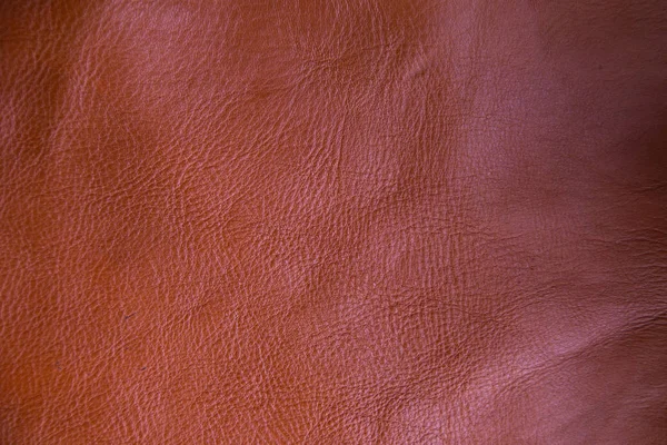 Background of genuine cow leather for craftsmanship work