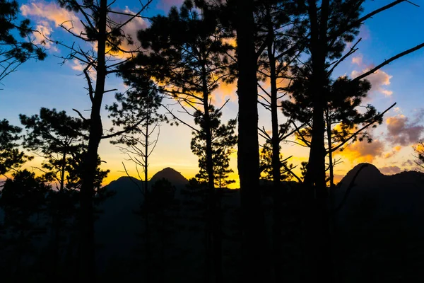 Cielo colorido al atardecer con pino en la montaña — Foto de Stock