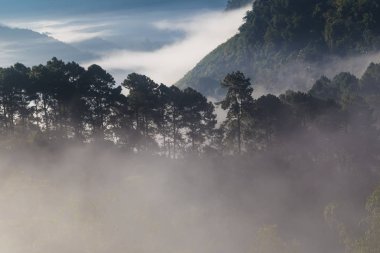 Dağ sunrise yatay, sabah siste