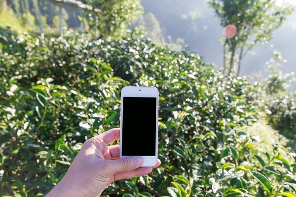 Smartphone Mano Tomar Foto Viaje Paisaje Campo Montaña — Foto de Stock