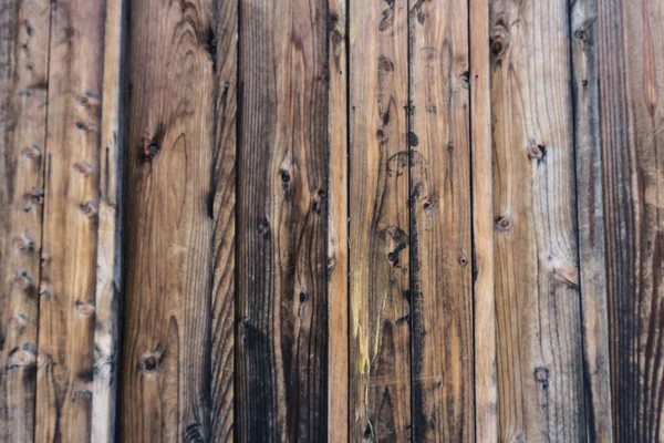 Naaldboom Close Muur Gemaakt Van Houten Planken Donkere Paneel — Stockfoto