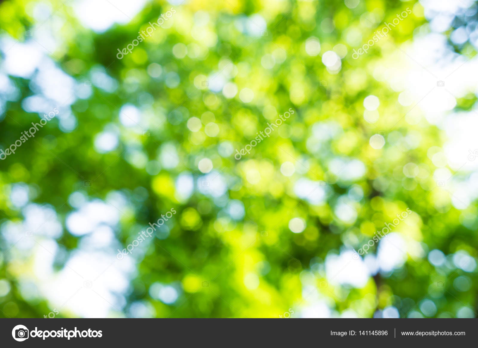 Green blurred leaf of tree background Stock Photo by ©benedixs 141145896