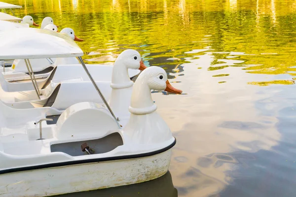 Корабль White Swan на озере в государственном парке Чатучак — стоковое фото