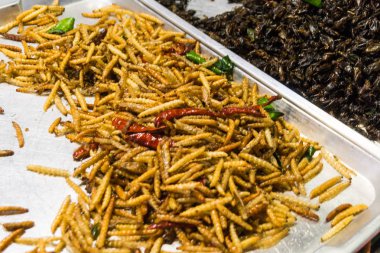 Fried bambu caterpillar kazık pazarda solucanlar