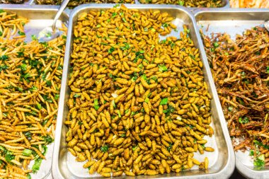 Fried bambu caterpillar kazık pazarda solucanlar