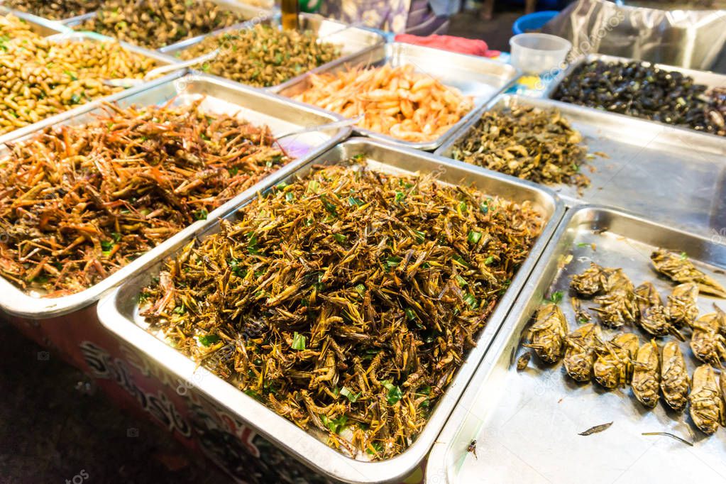 Fried of many warm insect alternative protein nutrition