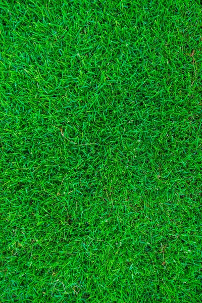 Зеленая текстура травы для фона — стоковое фото