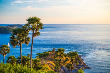 Tropikal andaman seabeach palmiye ağacı, gün batımı bakış açısı, Phuket Tayland