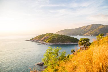 Tropikal andaman seabeach palmiye ağacı, gün batımı bakış açısı, Phuket Tayland