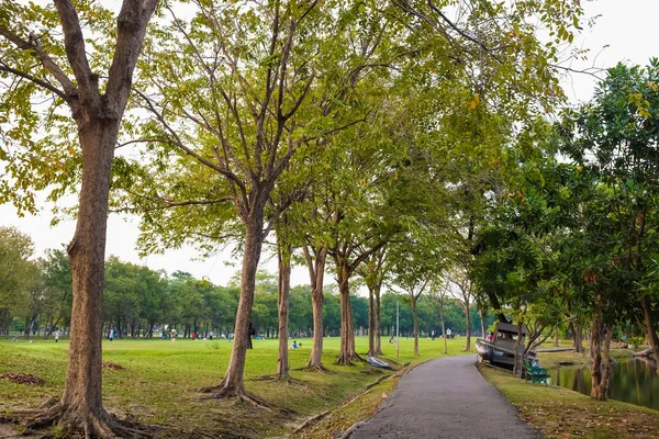 Park Väg Med Träd Och Äng Stadsparken — Stockfoto